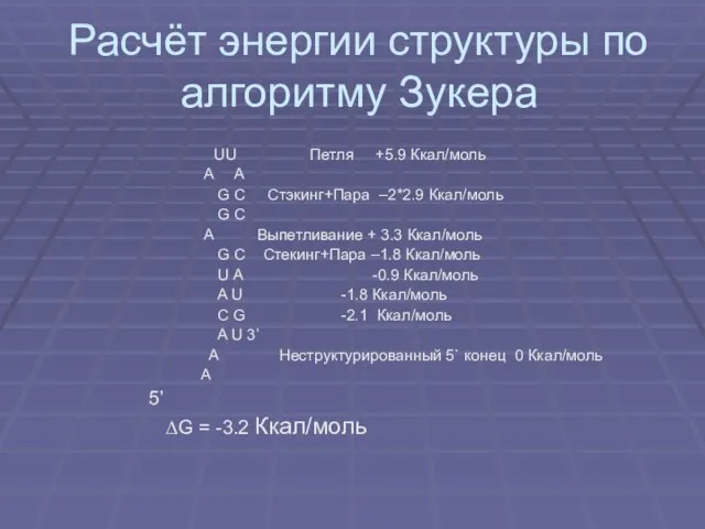 Расчёт энергии структуры по алгоритму Зукера UU Петля +5.9 Ккал/моль A A