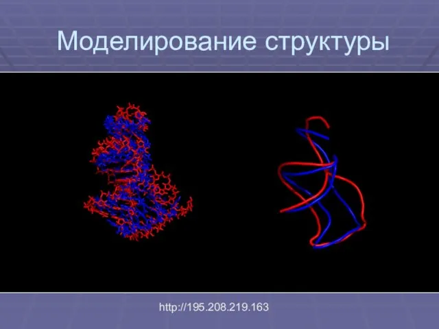 Моделирование структуры http://195.208.219.163