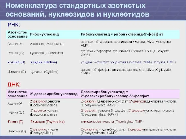 Номенклатура стандартных азотистых оснований, нуклеозидов и нуклеотидов