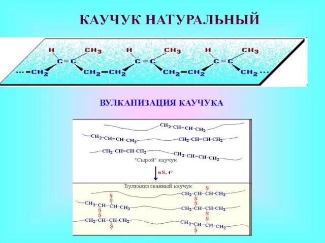 КАУЧУК НАТУРАЛЬНЫЙ ВУЛКАНИЗАЦИЯ КАУЧУКА