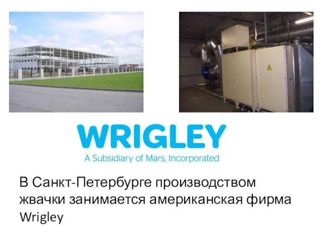В Санкт-Петербурге производством жвачки занимается американская фирма Wrigley