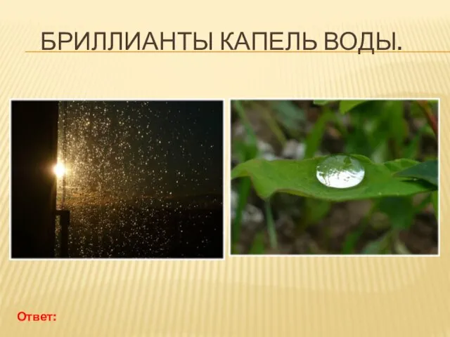 БРИЛЛИАНТЫ КАПЕЛЬ ВОДЫ. Ответ: