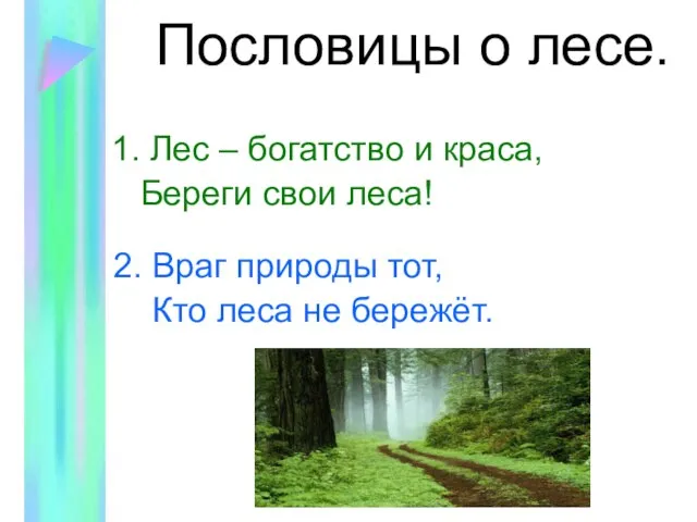 Пословицы о лесе. 1. Лес – богатство и краса, Береги свои леса!