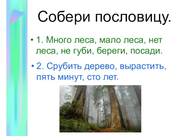 Собери пословицу. 1. Много леса, мало леса, нет леса, не губи, береги,