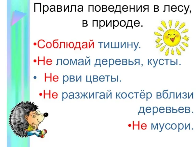 Правила поведения в лесу, в природе. Соблюдай тишину. Не ломай деревья, кусты.