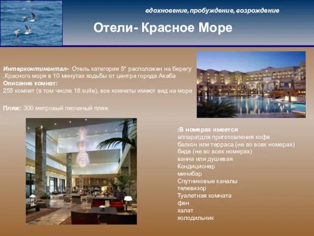 Интерконтинентал- Отель категории 5* расположен на берегу Красного моря в 10 минутах