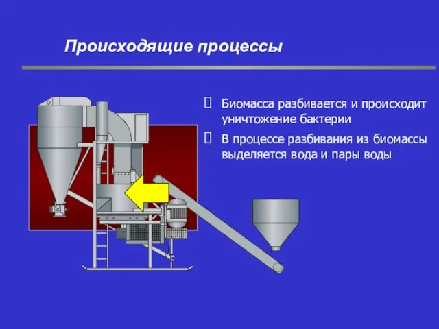 Биомасса разбивается и происходит уничтожение бактерии В процессе разбивания из биомассы выделяется