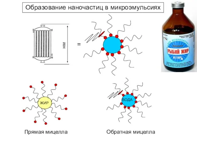 Образование наночастиц в микроэмульсиях = Прямая мицелла Обратная мицелла