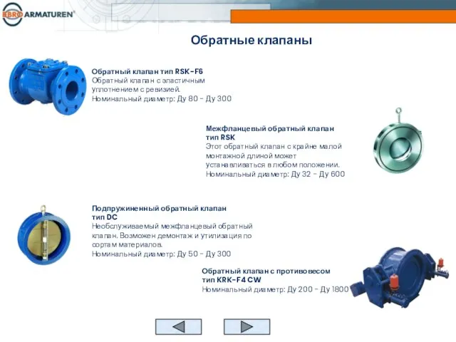 Обратный клапан тип RSK-F6 Обратный клапан с эластичным уплотнением с ревизией. Номинальный