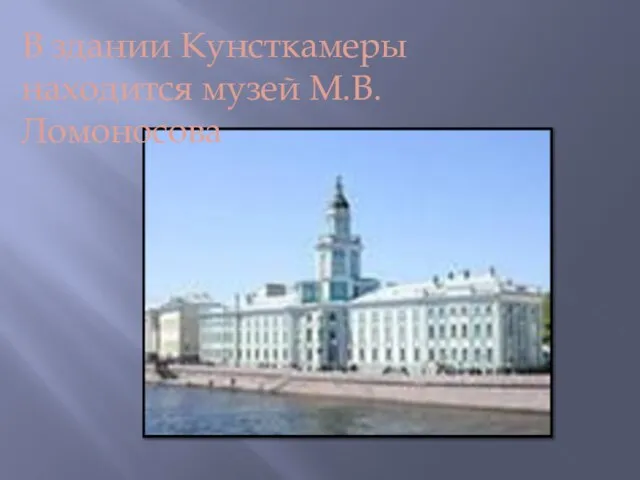 В здании Кунсткамеры находится музей М.В.Ломоносова
