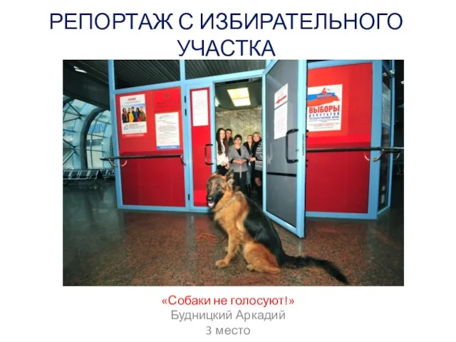 РЕПОРТАЖ С ИЗБИРАТЕЛЬНОГО УЧАСТКА «Собаки не голосуют!» Будницкий Аркадий 3 место