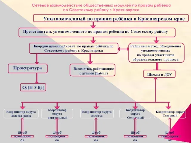 Сетевое взаимодействие общественных модулей по правам ребенка по Советскому району г. Красноярска