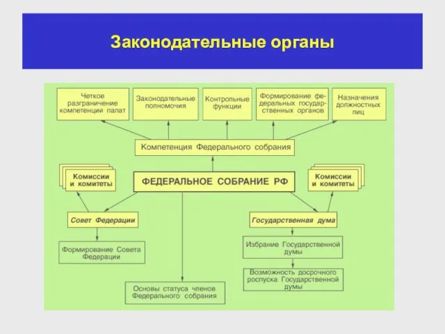 Законодательные органы