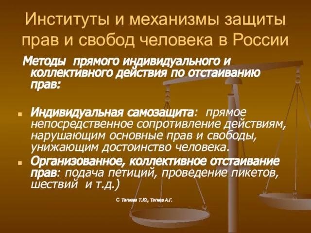 Институты и механизмы защиты прав и свобод человека в России Методы прямого