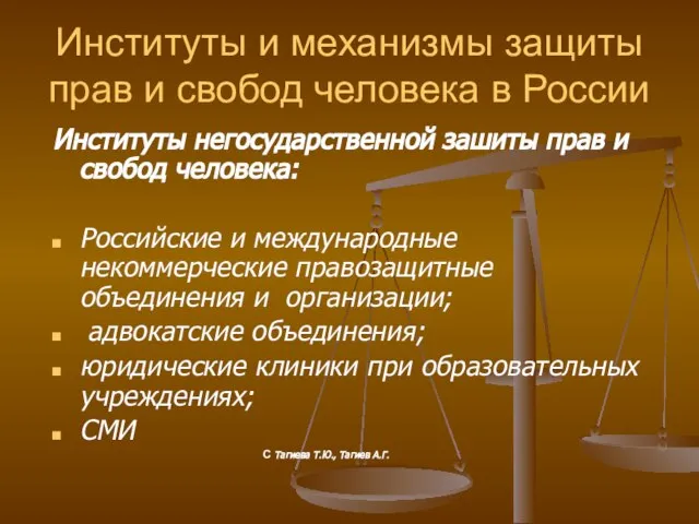 Институты и механизмы защиты прав и свобод человека в России Институты негосударственной