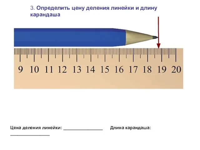 3. Определить цену деления линейки и длину карандаша Цена деления линейки: ________________ Длина карандаша: ________________