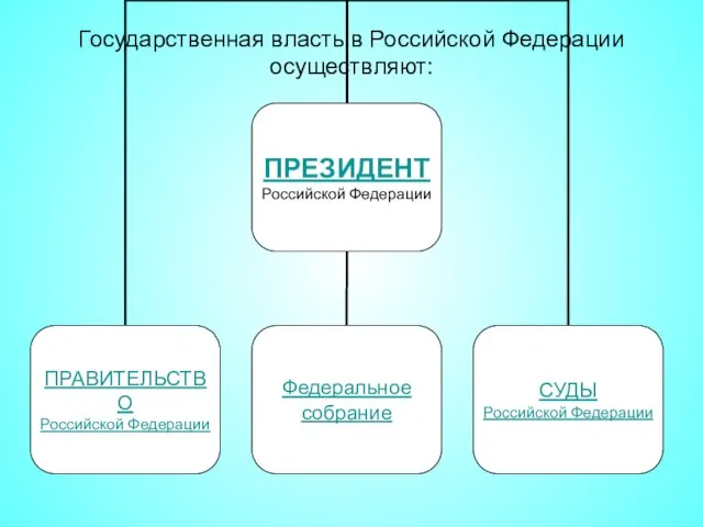 Государственная власть в Российской Федерации осуществляют: