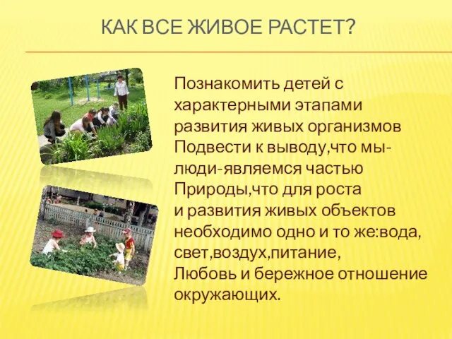 КАК ВСЕ ЖИВОЕ РАСТЕТ? Познакомить детей с характерными этапами развития живых организмов