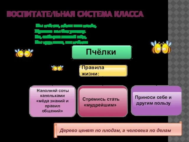 ВОСПИТАТЕЛЬНАЯ СИСТЕМА КЛАССА Наполняй соты капельками «мёда знаний и правил общений» Пчёлки