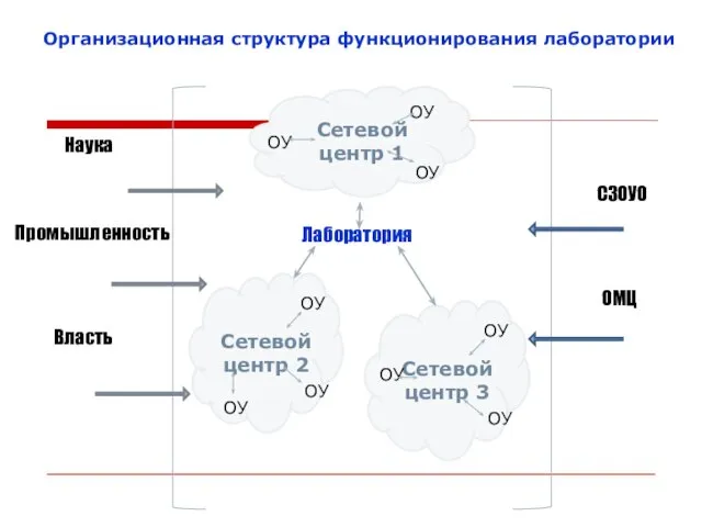 Организационная структура функционирования лаборатории