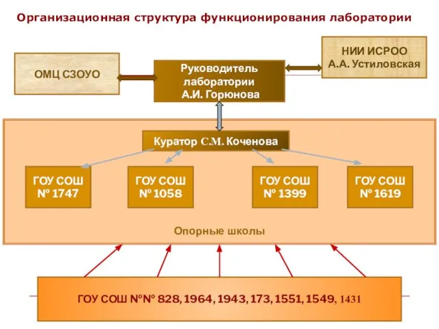 Руководитель лаборатории А.И. Горюнова НИИ ИСРОО А.А. Устиловская ГОУ СОШ № 1747