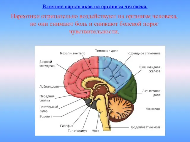 Наркотики отрицательно воздействуют на организм человека, но они снимают боль и снижают