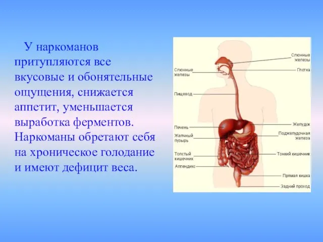 У наркоманов притупляются все вкусовые и обонятельные ощущения, снижается аппетит, уменьшается выработка