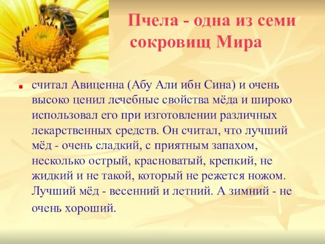 Пчела - одна из семи сокровищ Мира считал Авиценна (Абу Али ибн