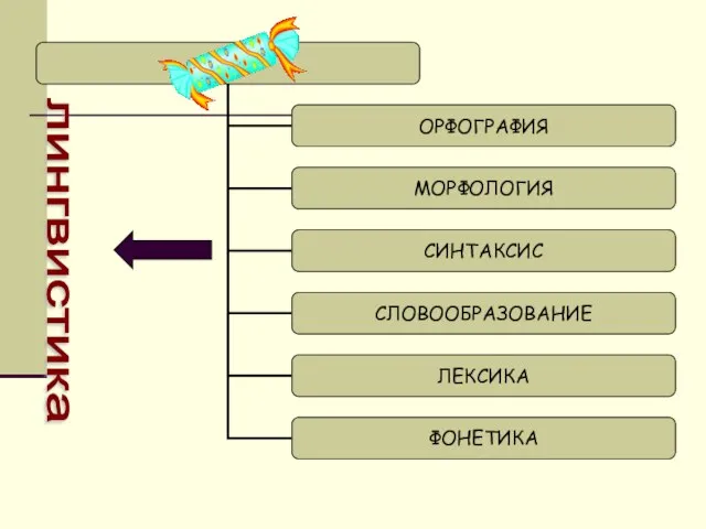 лингвистика