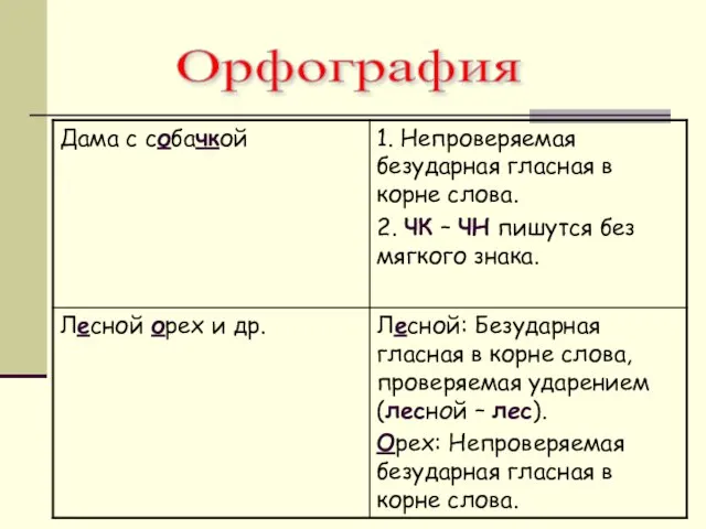 Орфография