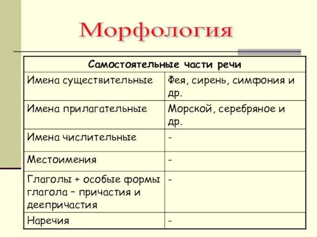 Морфология