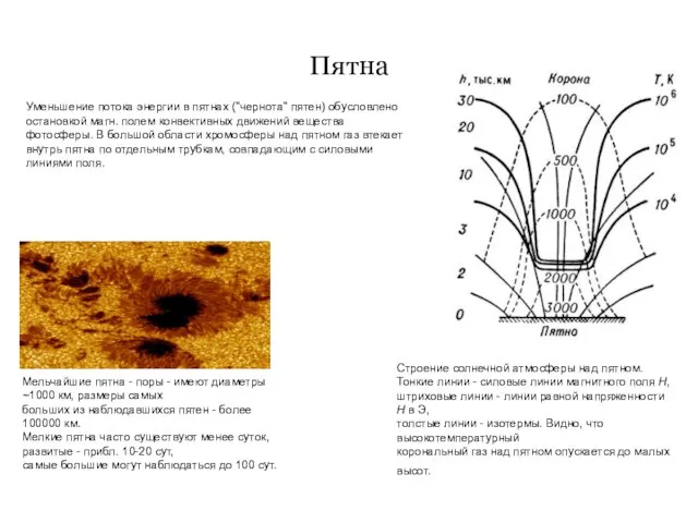Пятна Строение солнечной атмосферы над пятном. Тонкие линии - силовые линии магнитного