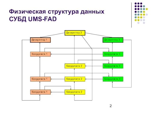 Физическая структура данных СУБД UMS-FAD Дескриптор 2 Дескриптор 1 Дескриптор 3 Координата