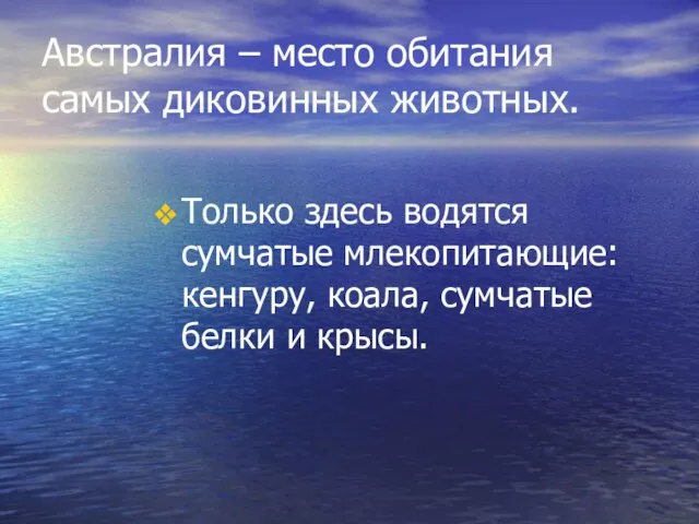 Австралия – место обитания самых диковинных животных. Только здесь водятся сумчатые млекопитающие: