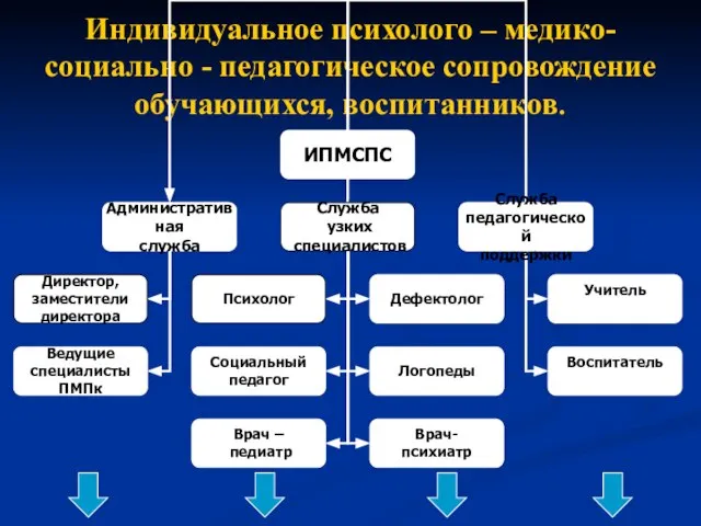 Индивидуальное психолого – медико-социально - педагогическое сопровождение обучающихся, воспитанников.