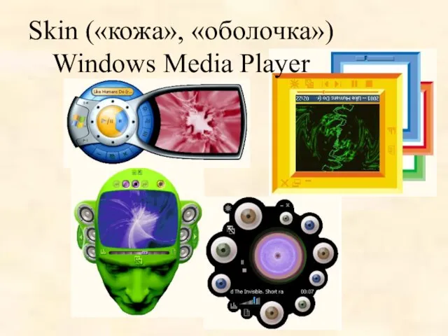 Skin («кожа», «оболочка») Windows Media Player