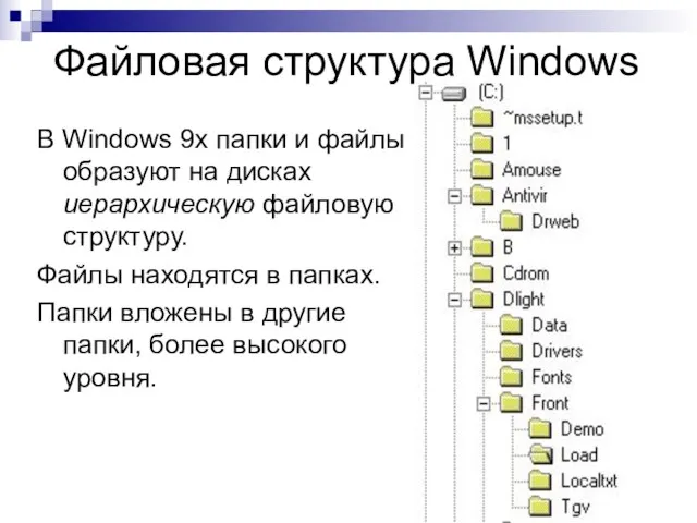 Файловая структура Windows В Windows 9х папки и файлы образуют на дисках