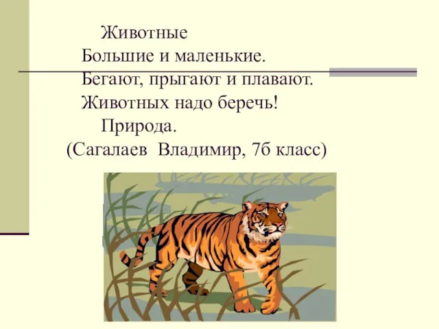 Животные Большие и маленькие. Бегают, прыгают и плавают. Животных надо беречь! Природа. (Сагалаев Владимир, 7б класс)