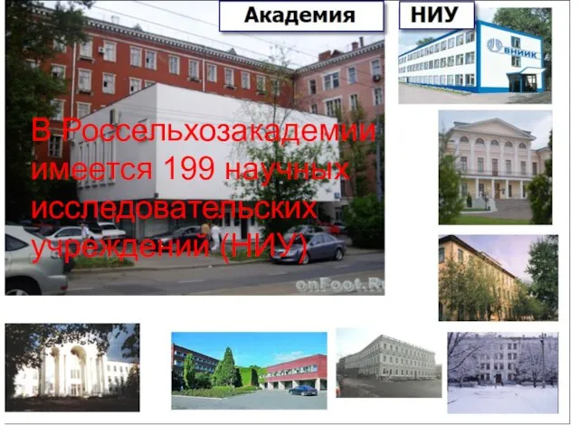 В Россельхозакадемии имеется 199 научных исследовательских учреждений (НИУ)