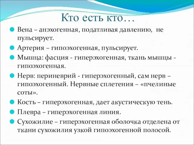 Кто есть кто… Вена – анэхогенная, податливая давлению, не пульсирует. Артерия –