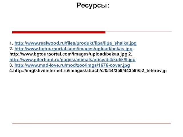 Ресурсы: 1. http://www.realwood.ru/files/produkt/lipa/lipa_shaika.jpg 2. http://www.bgtourportal.com/images/upload/bekas.jpg. http://www.bgtourportal.com/images/upload/bekas.jpg 2. http://www.piterhunt.ru/pages/animals/pticy/di4/kulik/9.jpg 3. http://www.mad-love.ru/mod/zoo/imgs/1676-cover.jpg 4.http://img0.liveinternet.ru/images/attach/c/0/44/359/44359952_teterev.jp
