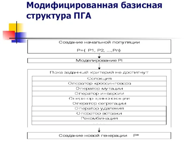 Модифицированная базисная структура ПГА