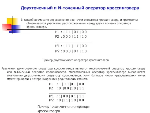 Двухточечный и N-точечный оператор кроссинговера В каждой хромосоме определяются две точки оператора