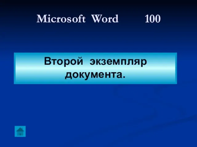 Microsoft Word 100 Второй экземпляр документа.