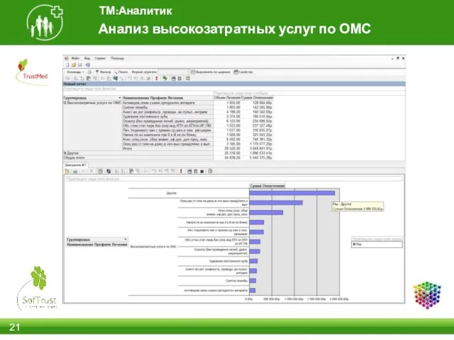 Анализ высокозатратных услуг по ОМС ТМ:Аналитик