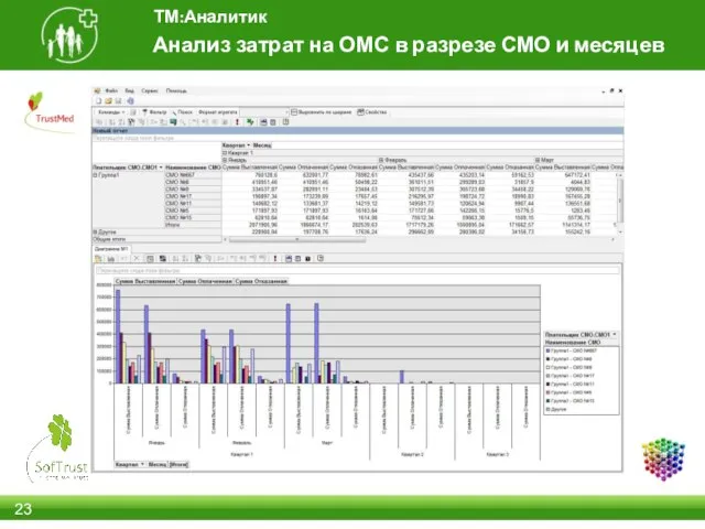 Анализ затрат на ОМС в разрезе СМО и месяцев ТМ:Аналитик