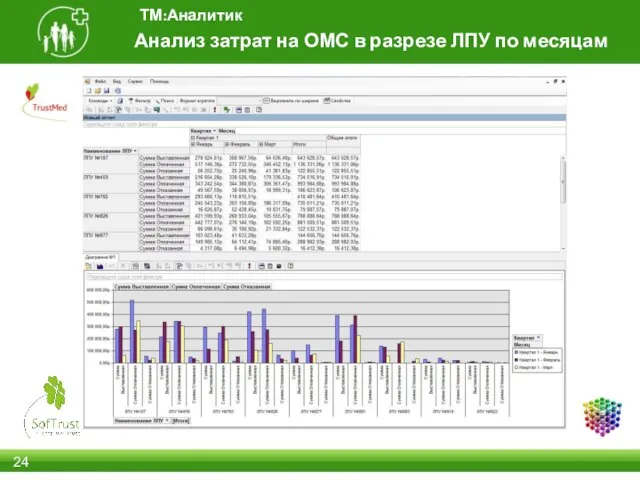 Анализ затрат на ОМС в разрезе ЛПУ по месяцам ТМ:Аналитик