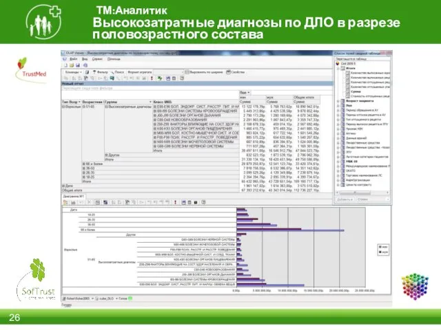 Высокозатратные диагнозы по ДЛО в разрезе половозрастного состава ТМ:Аналитик