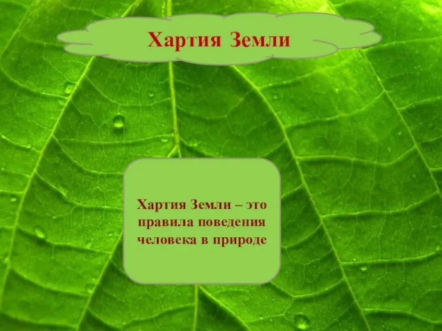 Хартия Земли Хартия Земли – это правила поведения человека в природе