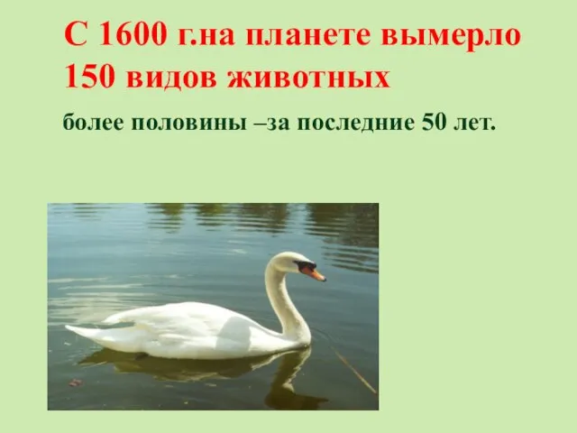 С 1600 г.на планете вымерло 150 видов животных более половины –за последние 50 лет.